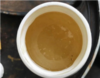 Σ�յġ����ᡱ��Σδ�������ز��--������֬ע����""